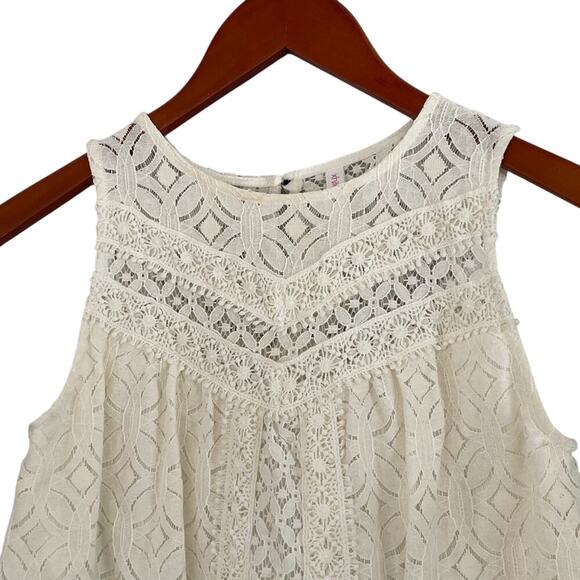 Xhilaration Ivory/Cream/Neutral Lace, Embroidered Sleeveless Mini Dress, XS - Picture 2 of 10